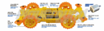 TAMIYA 92435 1/32 MINI 4WD HOTSHOT JR SMCMALL LIMITED EDITION - Image 3